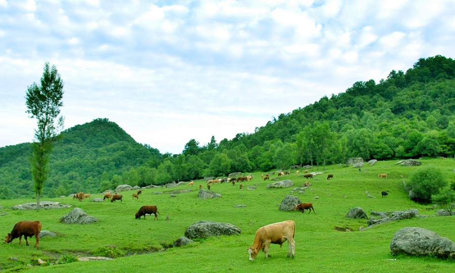 bifa·必发(中国区)唯一官方网站