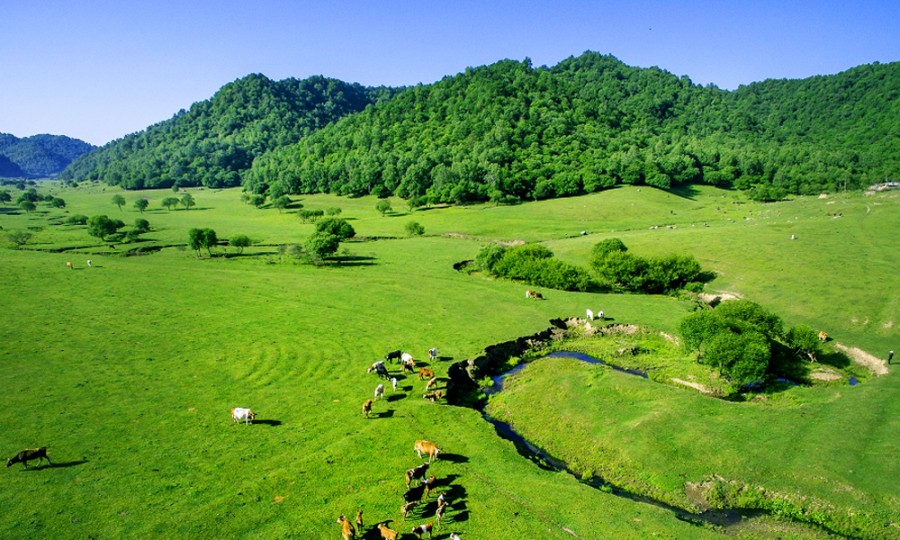 bifa·必发(中国区)唯一官方网站