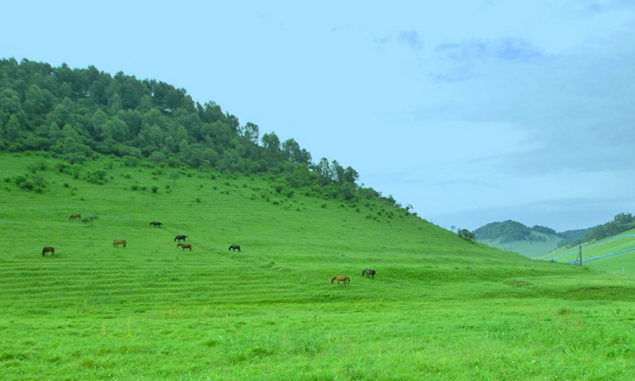 bifa·必发(中国区)唯一官方网站