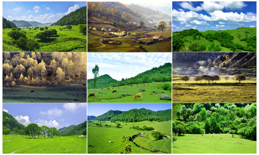 bifa·必发(中国区)唯一官方网站