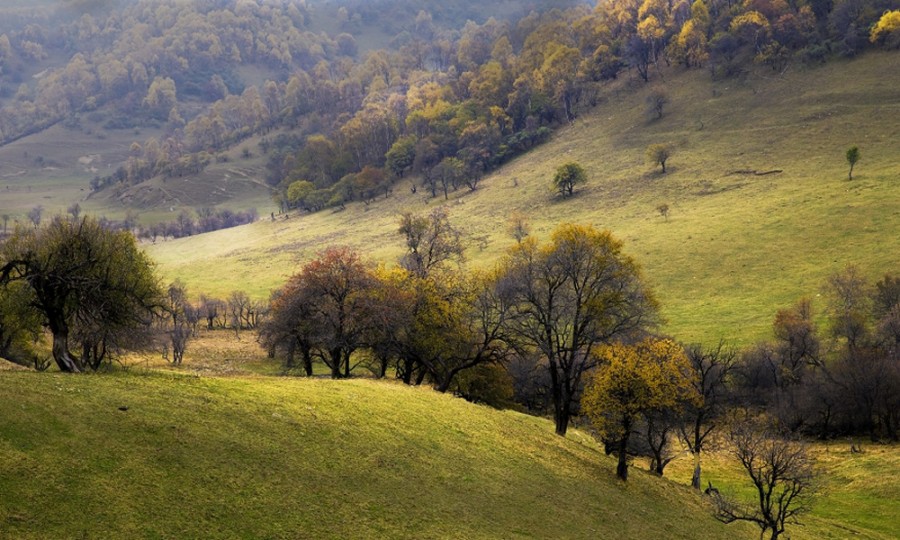 bifa·必发(中国区)唯一官方网站