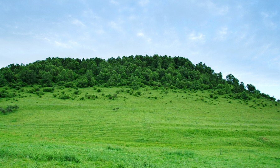 bifa·必发(中国区)唯一官方网站