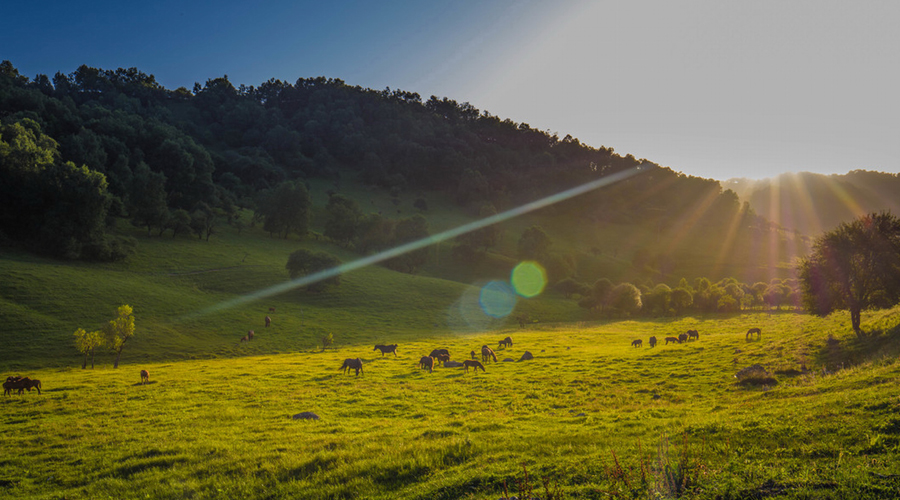 bifa·必发(中国区)唯一官方网站