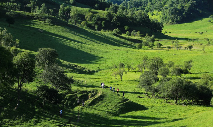 bifa·必发(中国区)唯一官方网站