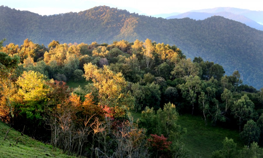 bifa·必发(中国区)唯一官方网站