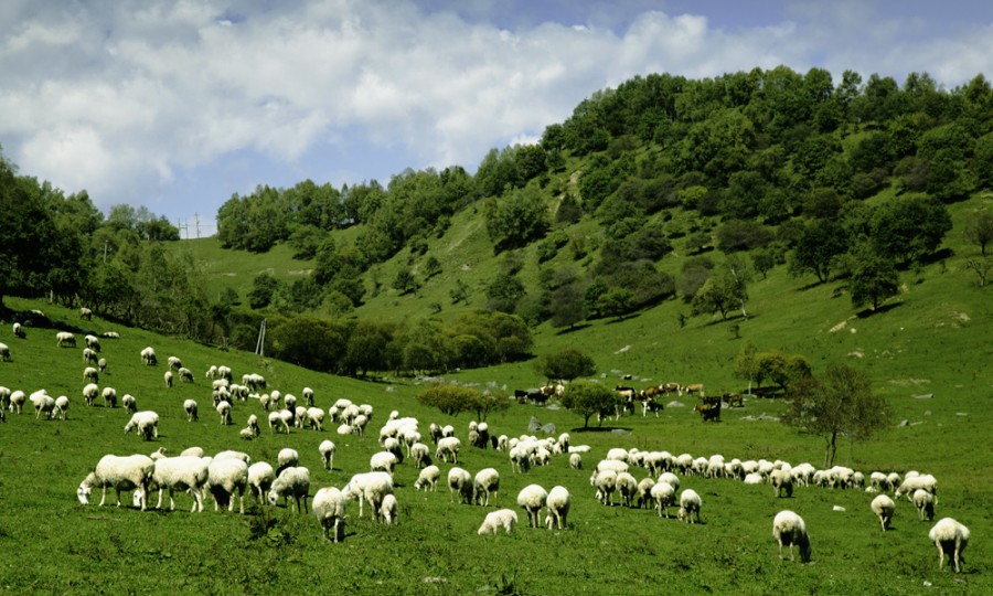 bifa·必发(中国区)唯一官方网站