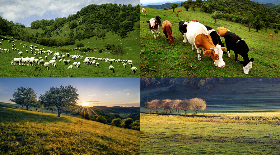 bifa·必发(中国区)唯一官方网站