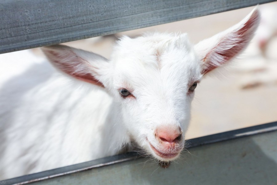 bifa·必发(中国区)唯一官方网站