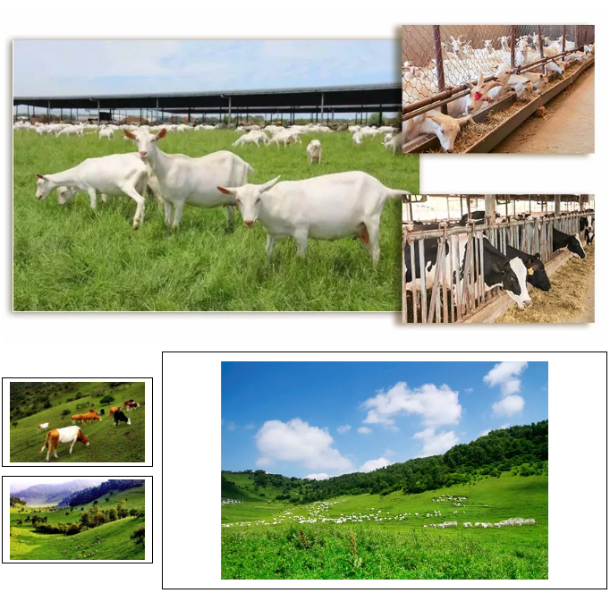 bifa·必发(中国区)唯一官方网站