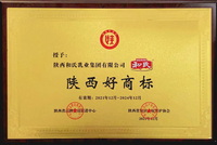 20231206111312_86706