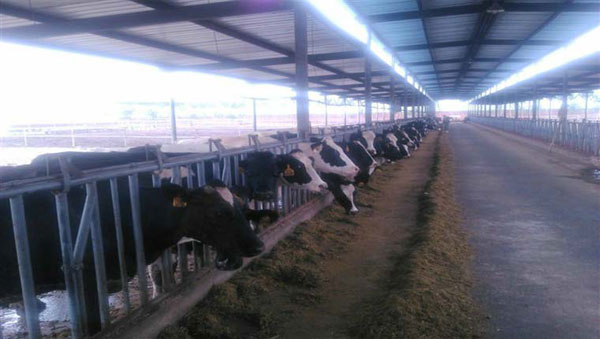 bifa·必发(中国区)唯一官方网站