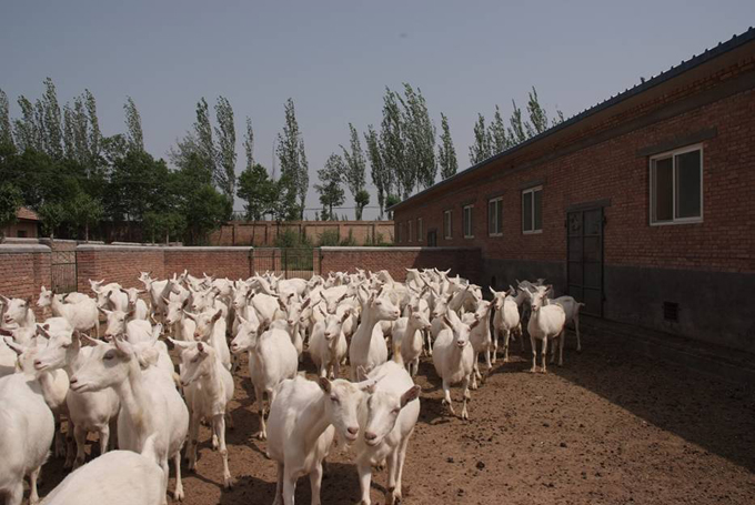 bifa·必发(中国区)唯一官方网站