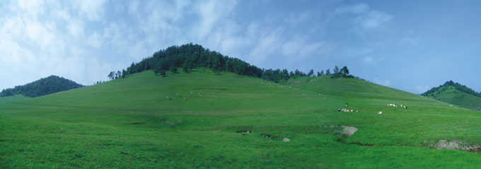 bifa·必发(中国区)唯一官方网站