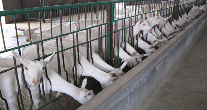 bifa·必发(中国区)唯一官方网站