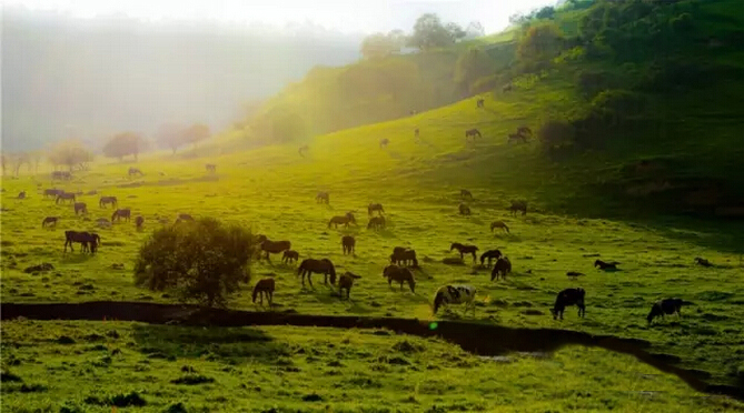 bifa·必发(中国区)唯一官方网站