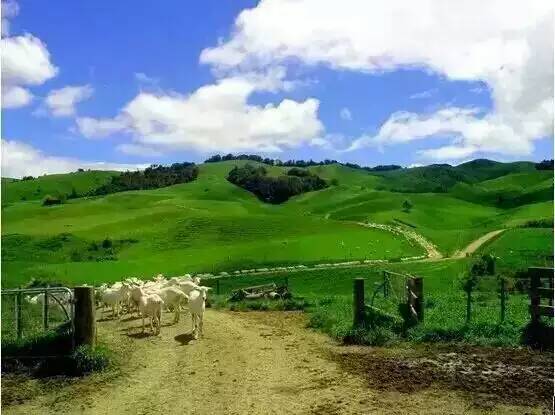 bifa·必发(中国区)唯一官方网站