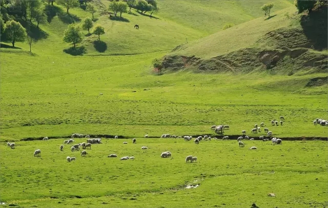 bifa·必发(中国区)唯一官方网站