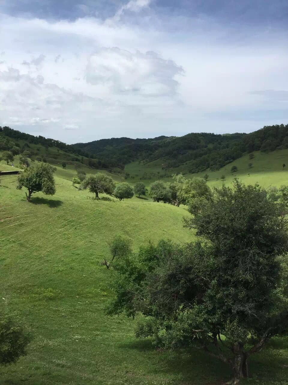 bifa·必发(中国区)唯一官方网站