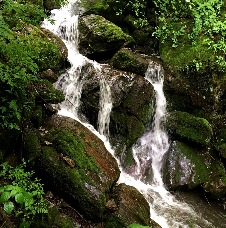 bifa·必发(中国区)唯一官方网站