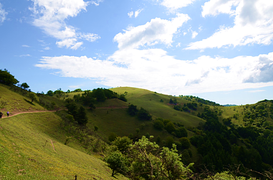 bifa·必发(中国区)唯一官方网站