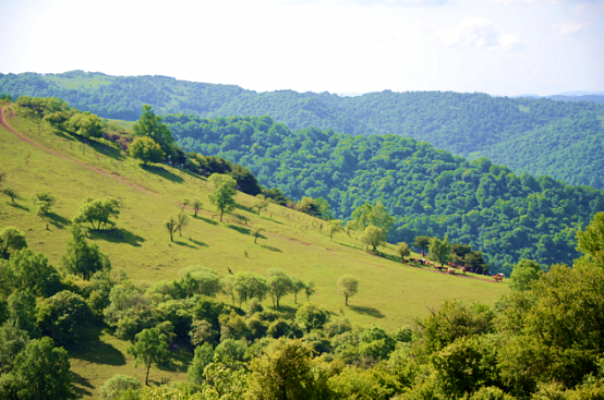 bifa·必发(中国区)唯一官方网站