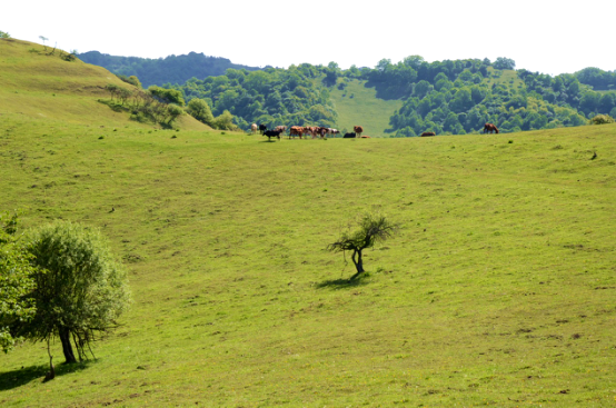 bifa·必发(中国区)唯一官方网站