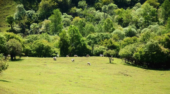 bifa·必发(中国区)唯一官方网站