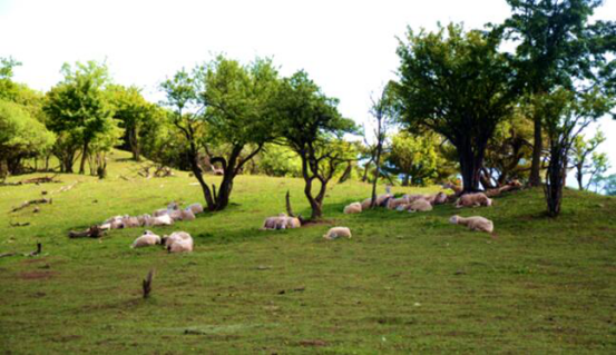 bifa·必发(中国区)唯一官方网站