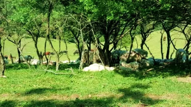 bifa·必发(中国区)唯一官方网站