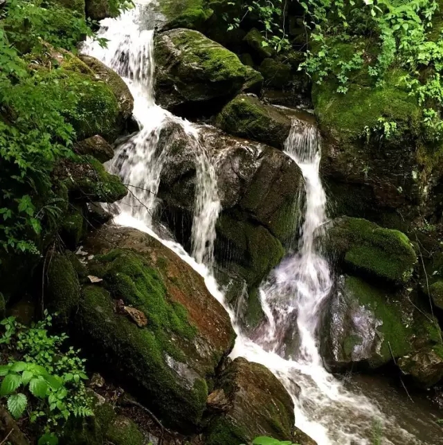 bifa·必发(中国区)唯一官方网站