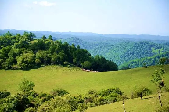 bifa·必发(中国区)唯一官方网站