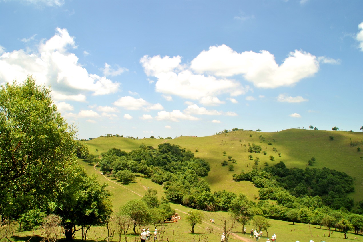 bifa·必发(中国区)唯一官方网站