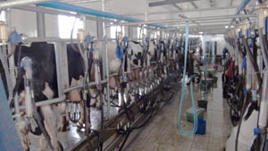 bifa���ط�(�й���)Ψһ�ٷ���վ