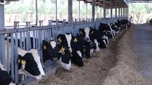 bifa���ط�(�й���)Ψһ�ٷ���վ